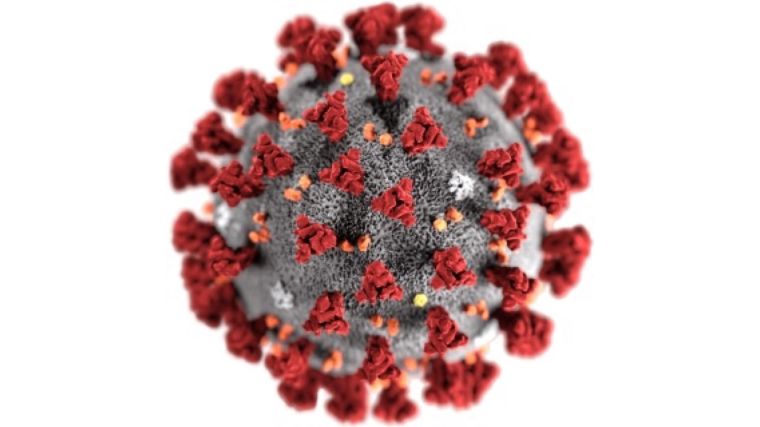 image of a virus