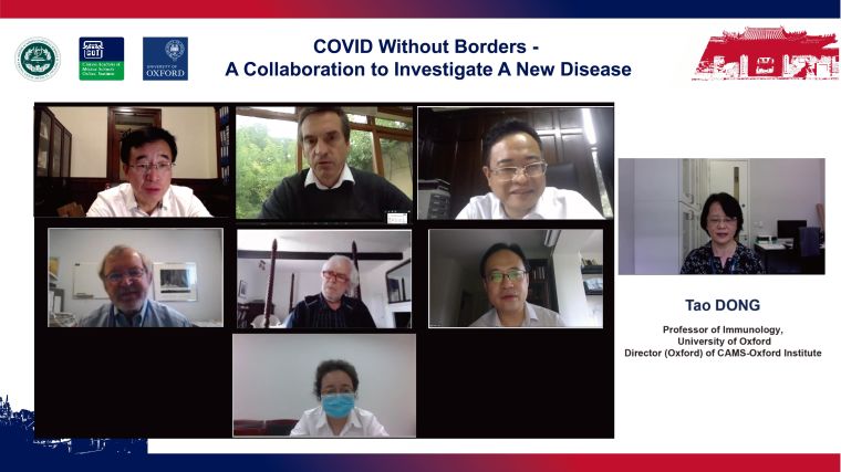 Screenshot of the online seminar COVID Without Borders - A collaboration to Investigate A New Disease