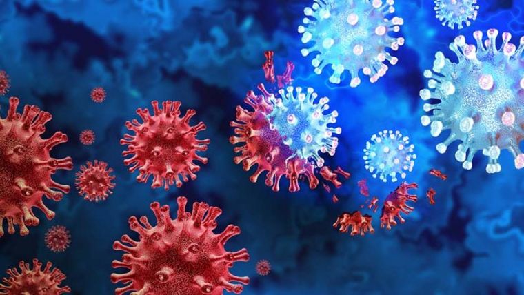 Our main research is to understand immune-responses, particularly antibody responses, against emerging pathogens, such as dengue virus, zika virus, HIV, Ebola virus, SARS and MERS and, the most recent, SARS-CoV2.